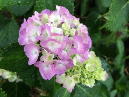 f0201297_08450017.jpg