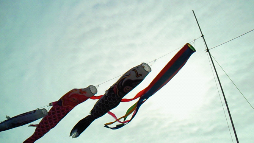 d0149105_7352523.jpg