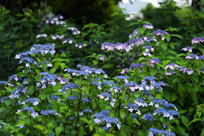 a0263109_14143956.jpg