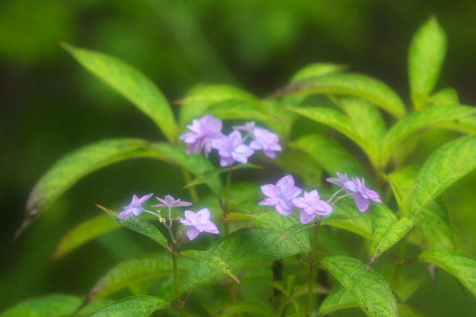 a0263109_14145282.jpg