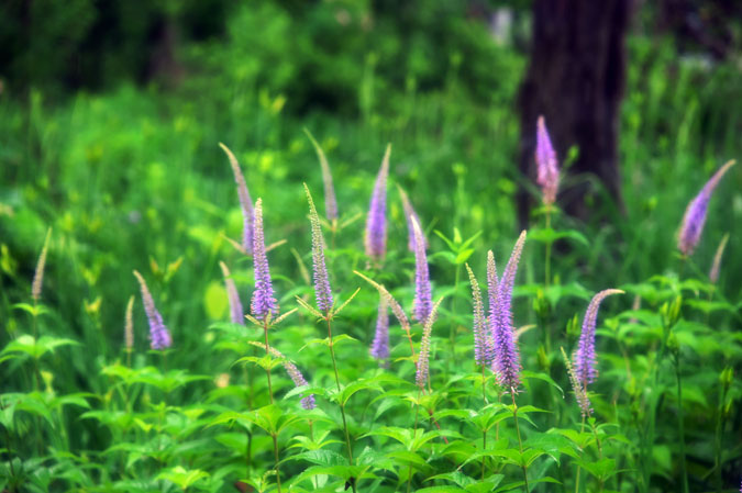 a0263109_1415093.jpg