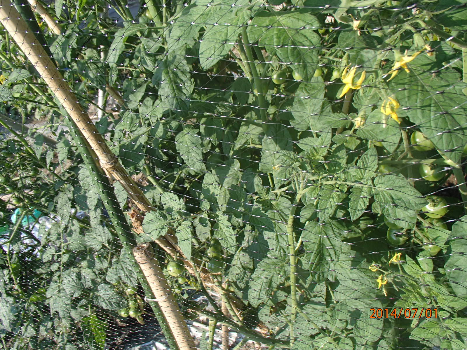 c0165909_15564223.jpg