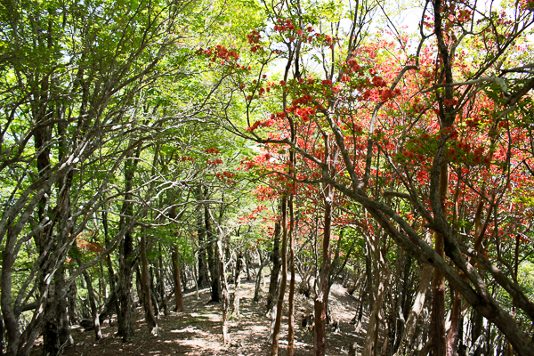 b0244811_23131670.jpg