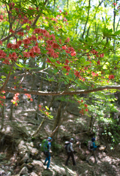 b0244811_2375788.jpg