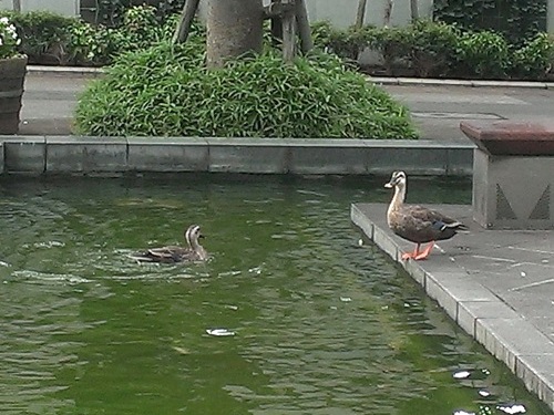 c0084117_19224137.jpg