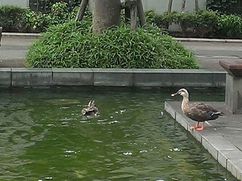 c0084117_193045100.jpg