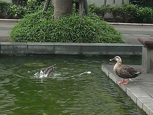 c0084117_1935388.jpg