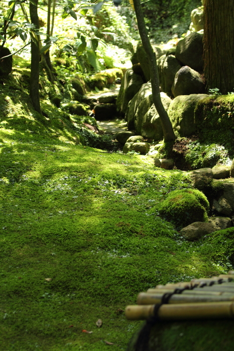 f0358531_19584994.jpg