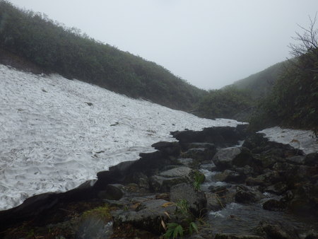 f0118332_10422822.jpg