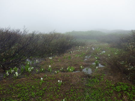 f0118332_10512376.jpg