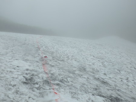f0118332_1111657.jpg