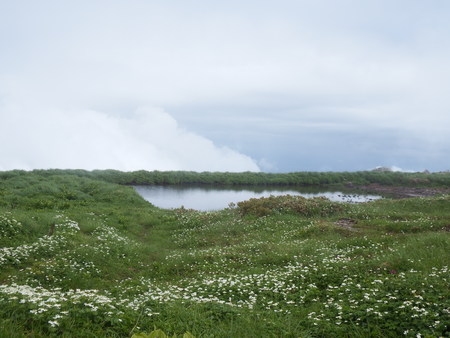 f0118332_1132783.jpg