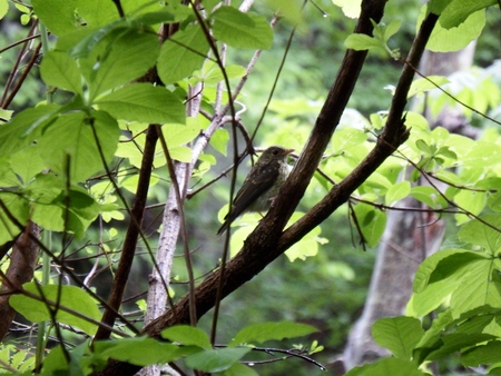 f0118332_23462825.jpg