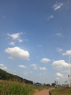 a0134136_029963.jpg