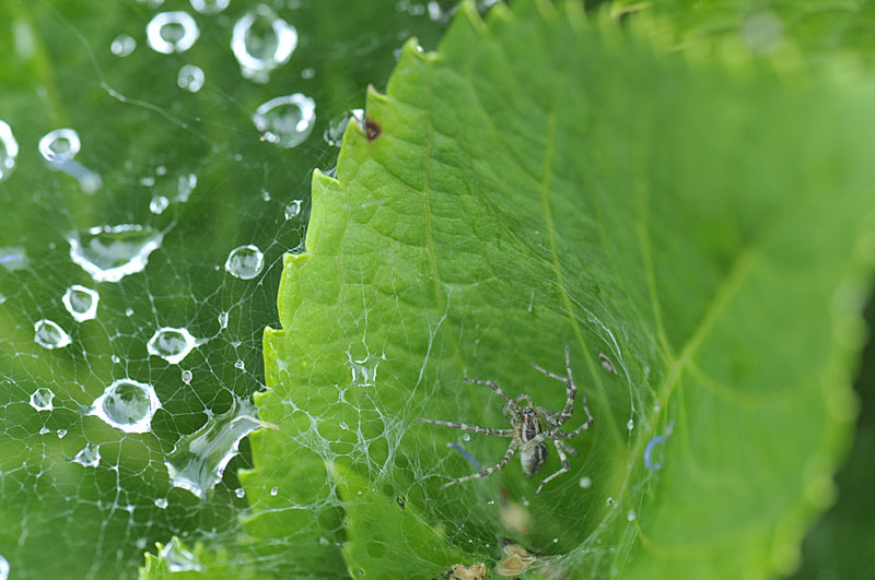 b0042837_2113231.jpg