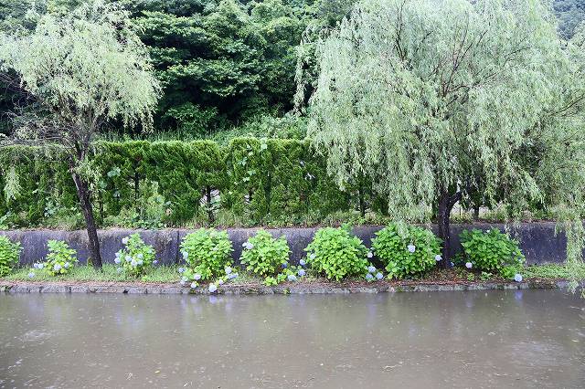 a0242438_18475480.jpg