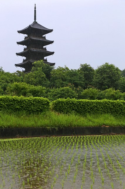 a0242438_18494095.jpg