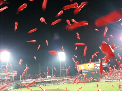 a0105740_108928.jpg