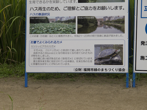 b0158551_22082694.jpg