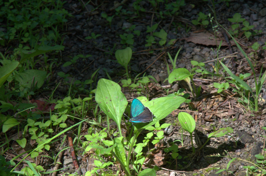 d0098057_2442559.jpg