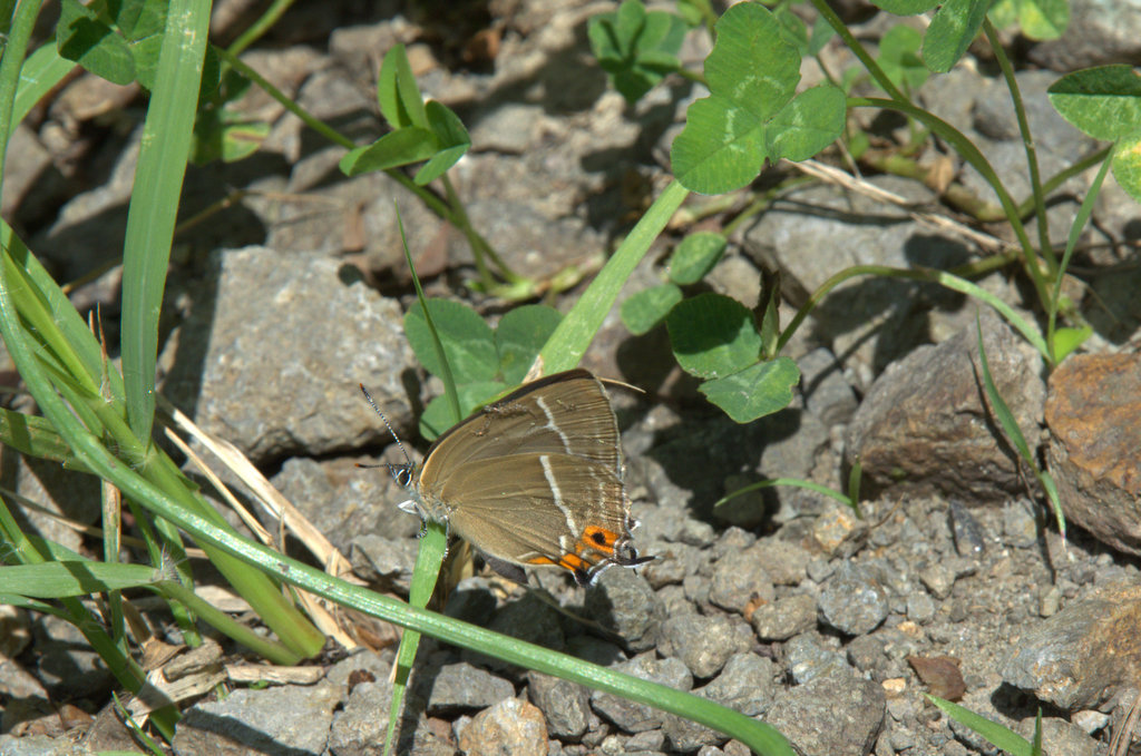 d0098057_24468.jpg