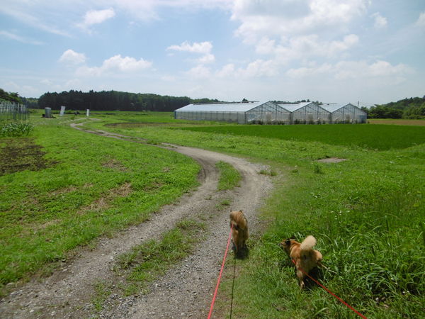 b0203758_11134012.jpg