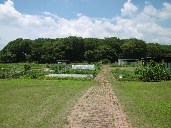 b0203758_11143999.jpg