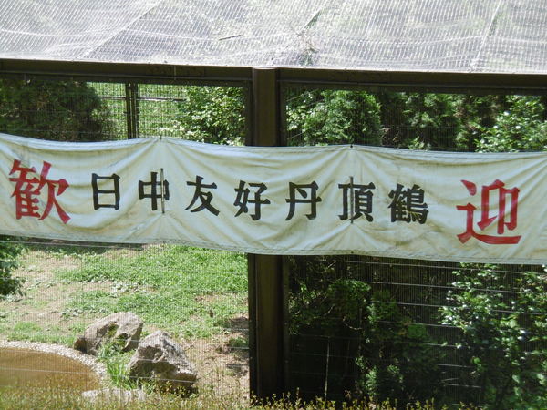 b0203758_1175481.jpg