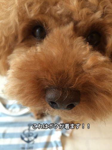 f0269163_14123599.jpg