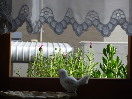 a0243064_20110114.jpg
