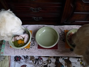 f0321567_2056725.jpg