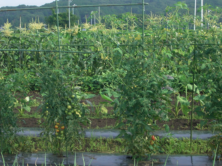 d0225575_9261939.jpg