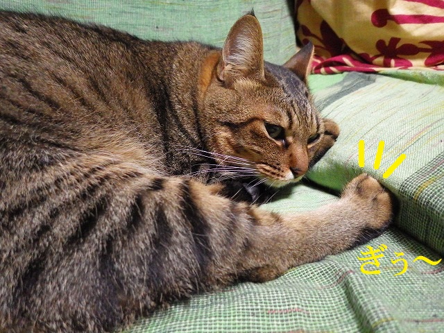a0159490_14124266.jpg