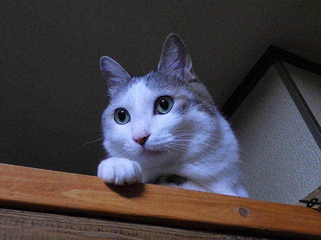 a0159490_1413436.jpg