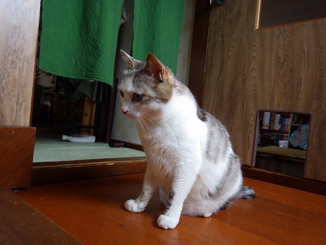 a0159490_1414140.jpg