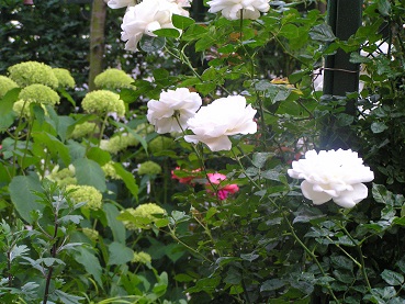 f0325309_20314115.jpg