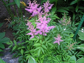f0325309_20323608.jpg