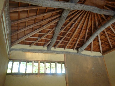 e0135219_1540768.jpg
