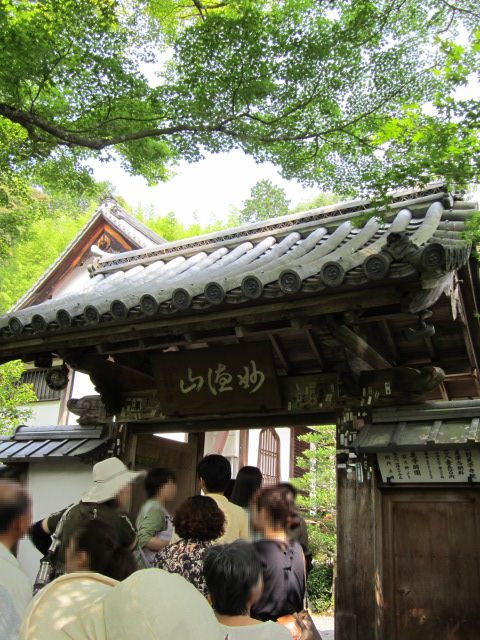 f0319323_2158222.jpg