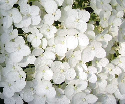 f0129726_22415144.jpg