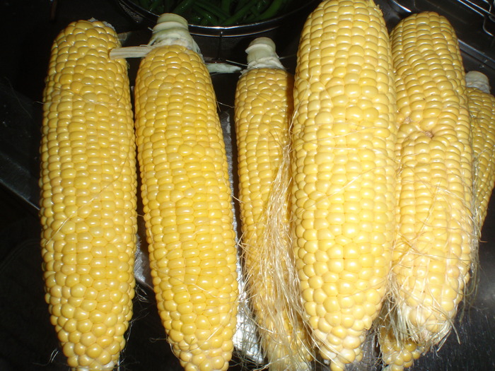 c0034029_2157062.jpg