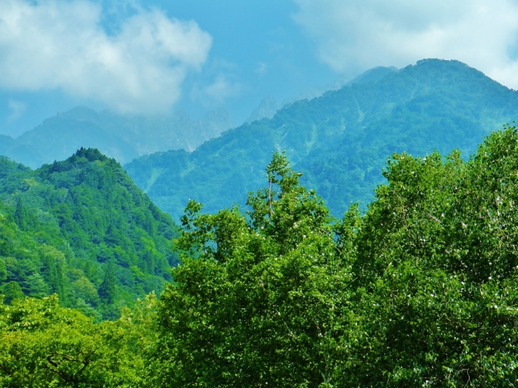 b0321833_14265871.jpg
