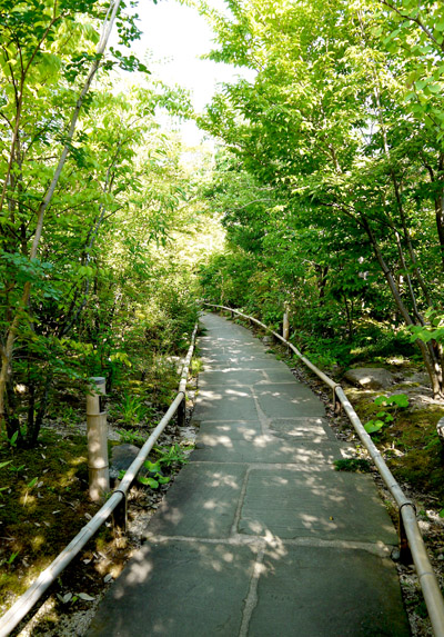 b0035734_1865232.jpg