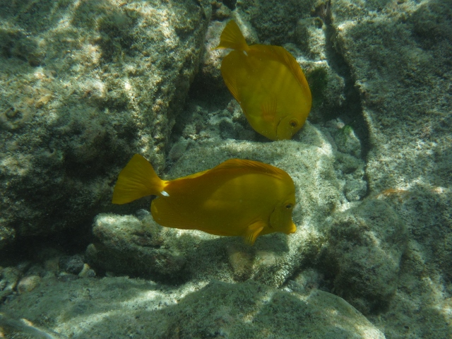 e0033156_11224160.jpg