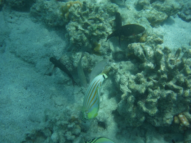 e0033156_1123133.jpg