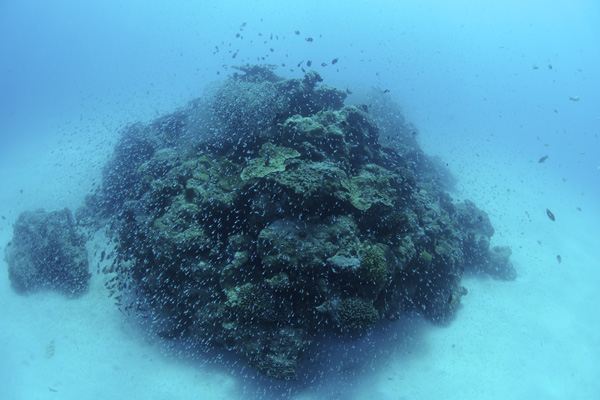 b0062363_14344464.jpg
