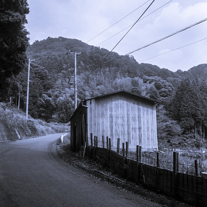 b0175964_20543392.jpg