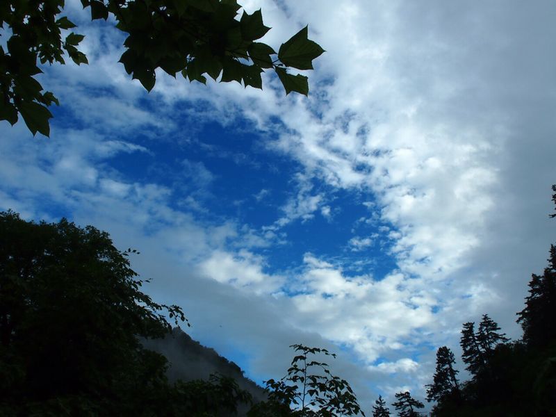 c0321967_2250363.jpg