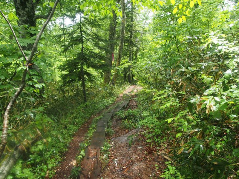 c0321967_22513778.jpg