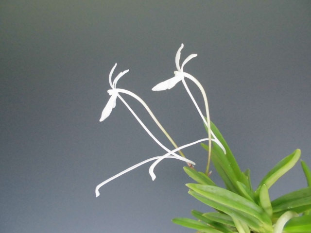 f0318967_18004751.jpg
